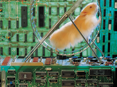 No server hamsters were harmed.